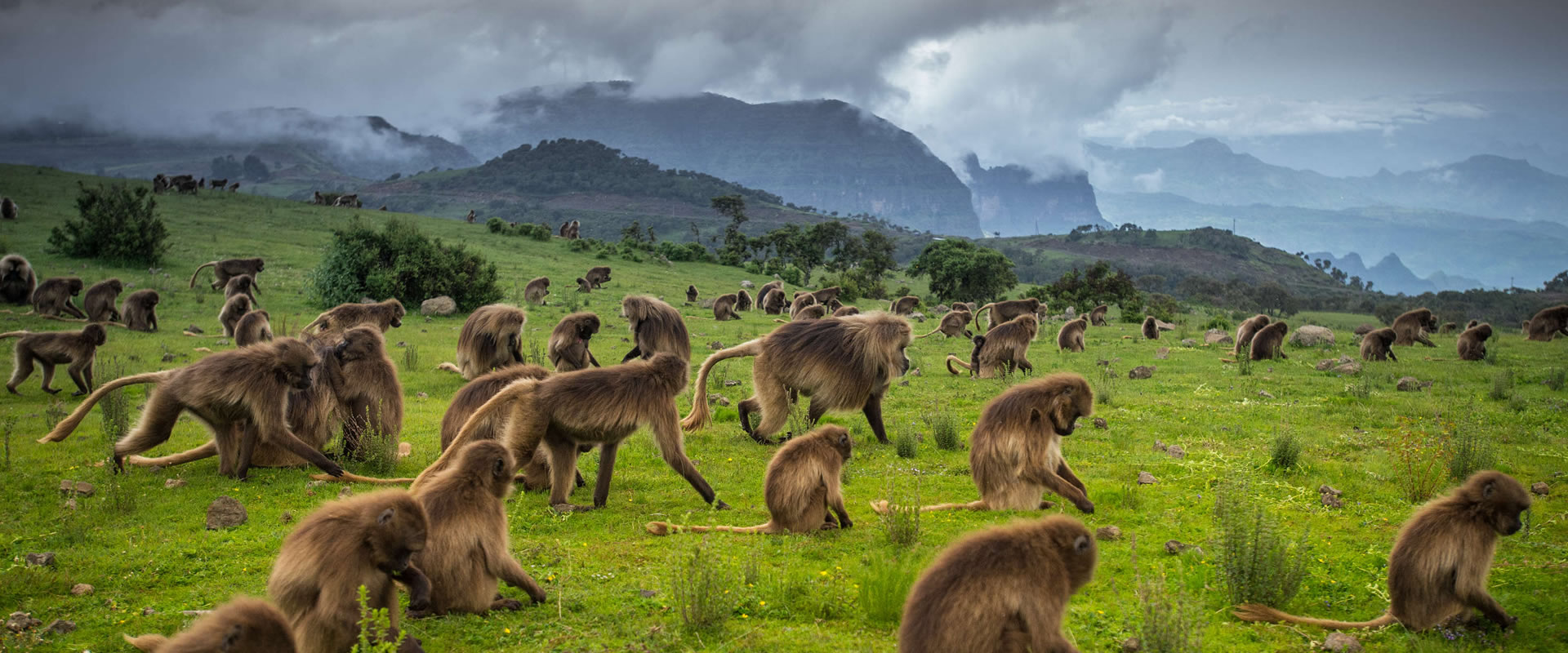 Dramatic escarpments of the Simien Mountains in northern Ethiopia