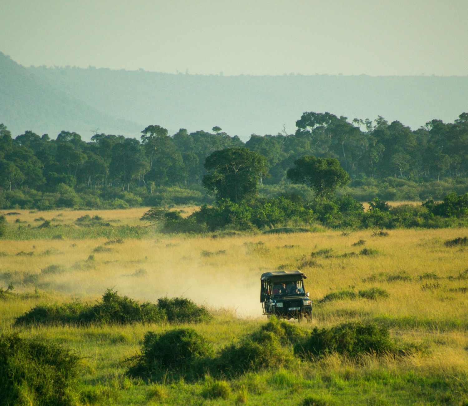 Open 4x4 vehicle on a classic Big Five game drive in East Africa