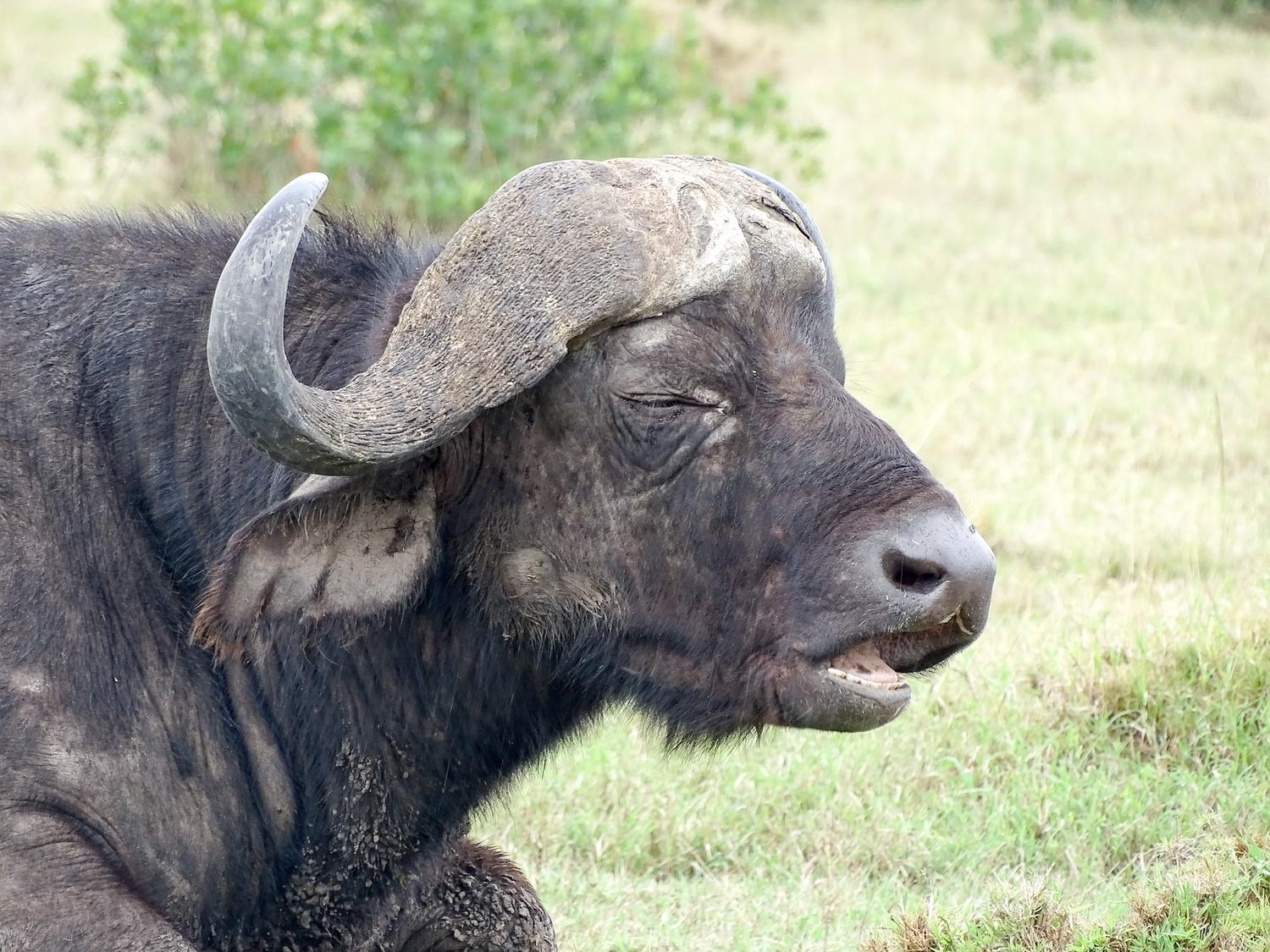 Simien Mountains Ethiopia safari — Suvenia Safaris Instagram