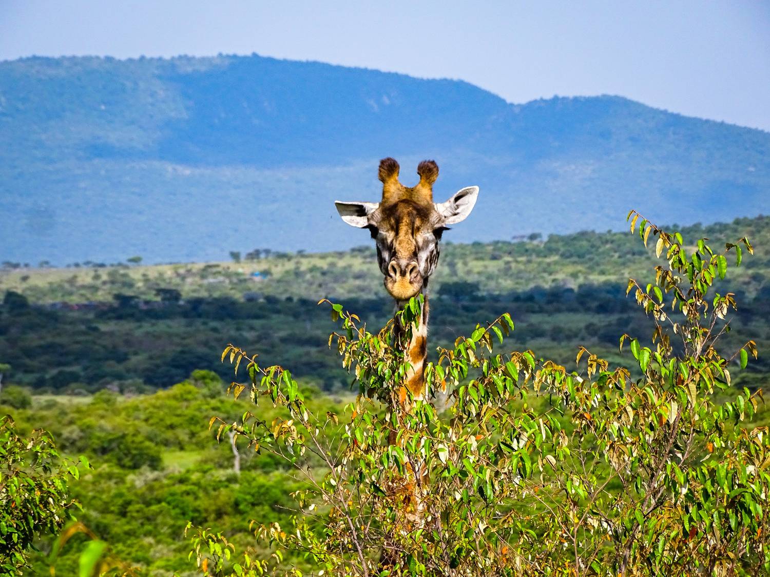 East African highlands landscape safari — Suvenia Safaris
