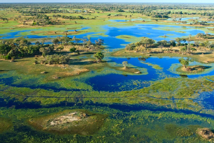 Aerial view of the Okavango Delta waterways, Botswana — UNESCO World Heritage Site