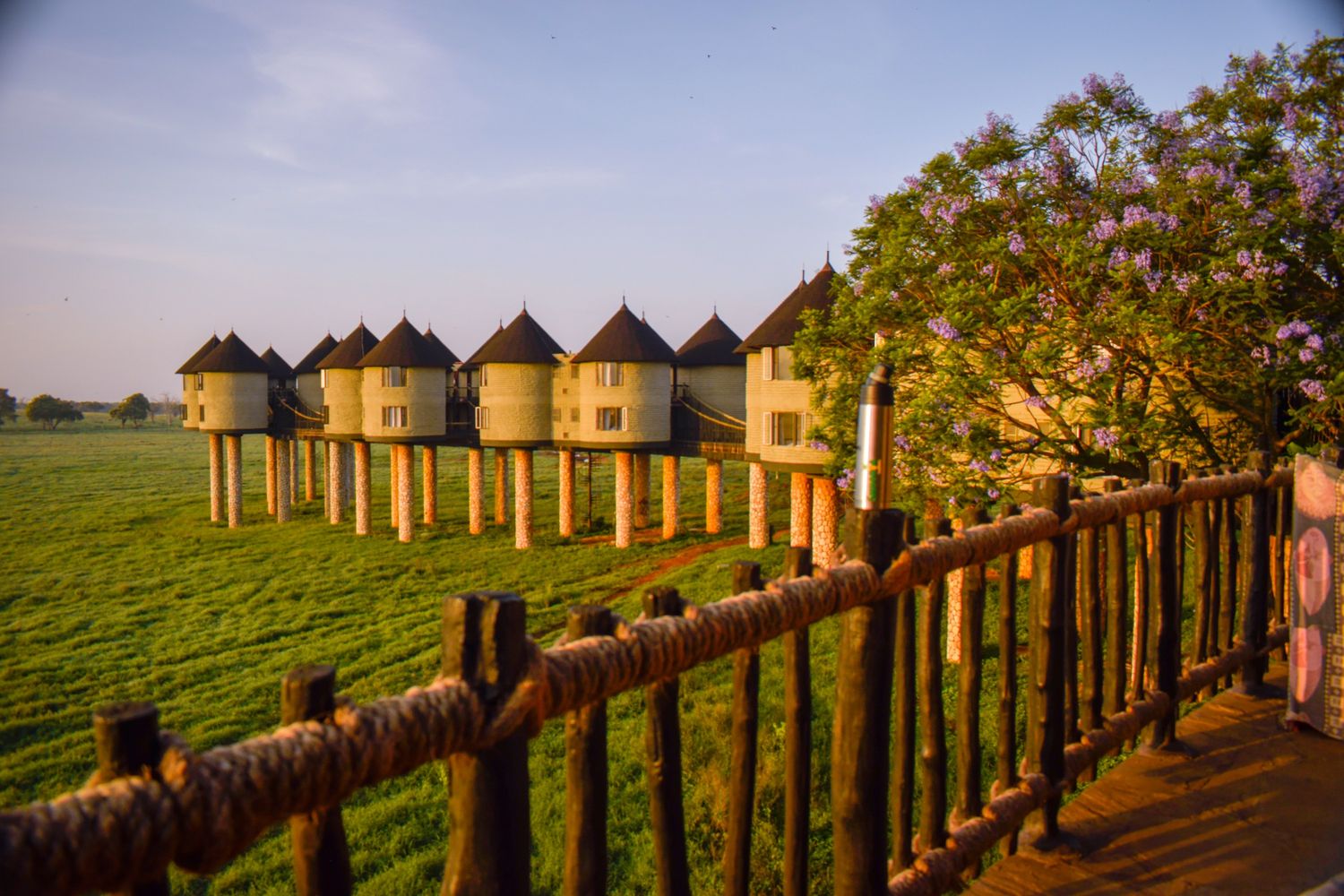 Taita Hills Wildlife Sanctuary Kenya — Salt Lick Lodge night drives and underground wildlife bunker